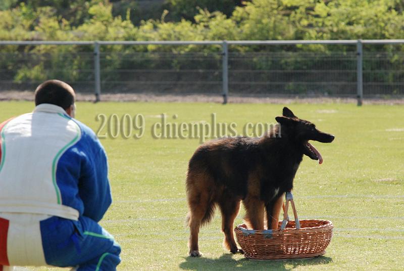3 EME SELECTIF 2009 GRANDE SYNTHE 249.jpg